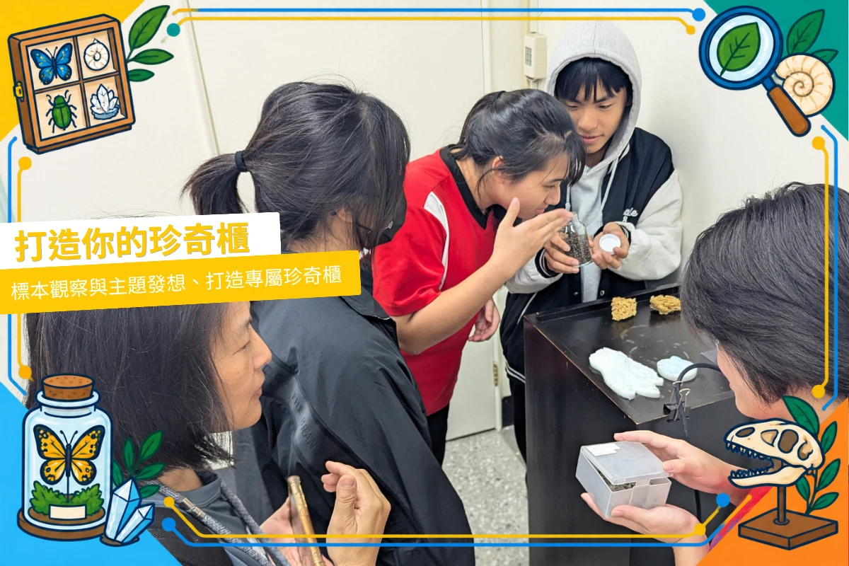 打造你的珍奇櫃